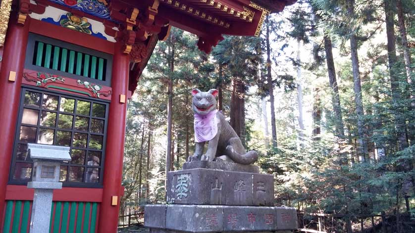 Japan Guide: Secret Travel Spots